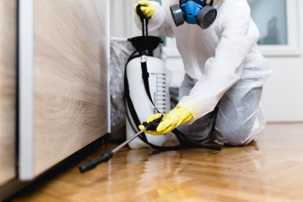 Best Pest Prevention Services  in Danvle, IL
