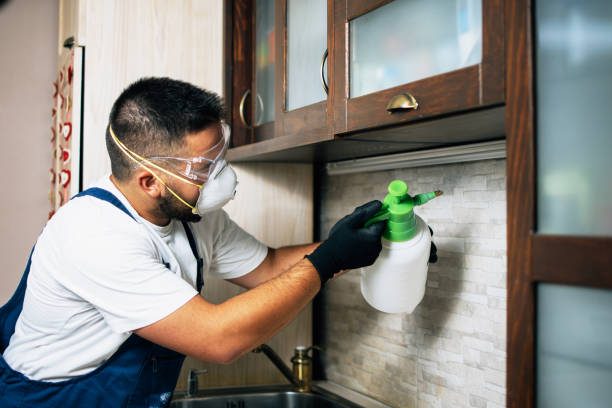 Best Pest Removal Services  in Danvle, IL