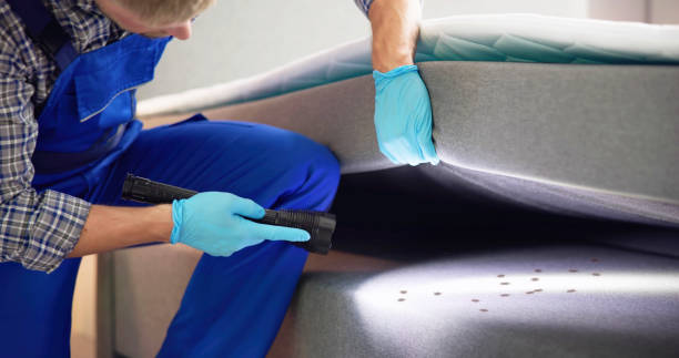 Pest Control Cost in Danville, IL