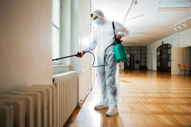 Best Insect Control  in Danvle, IL