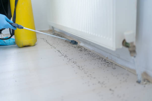 Best Best Pest Control Companies  in Danvle, IL